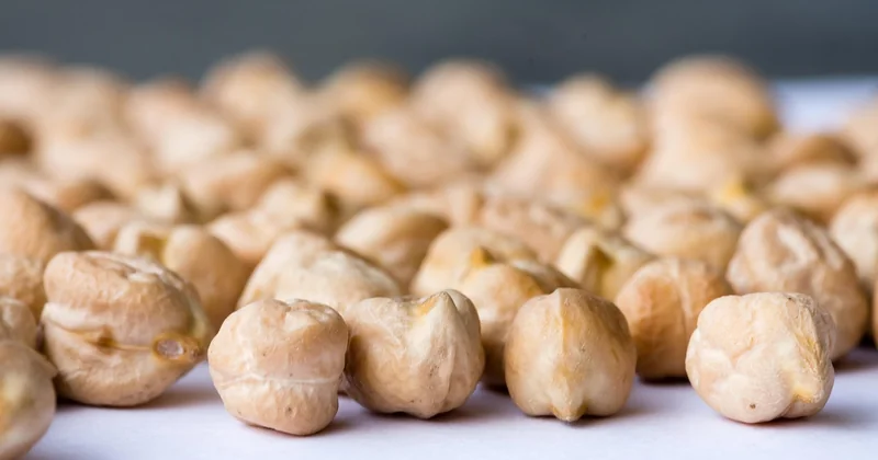 Pois chiches secs ou en boîte : le verdict