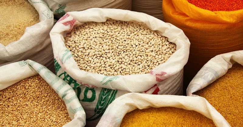 Haricots rouges secs ou en boîte : lequel choisir ?